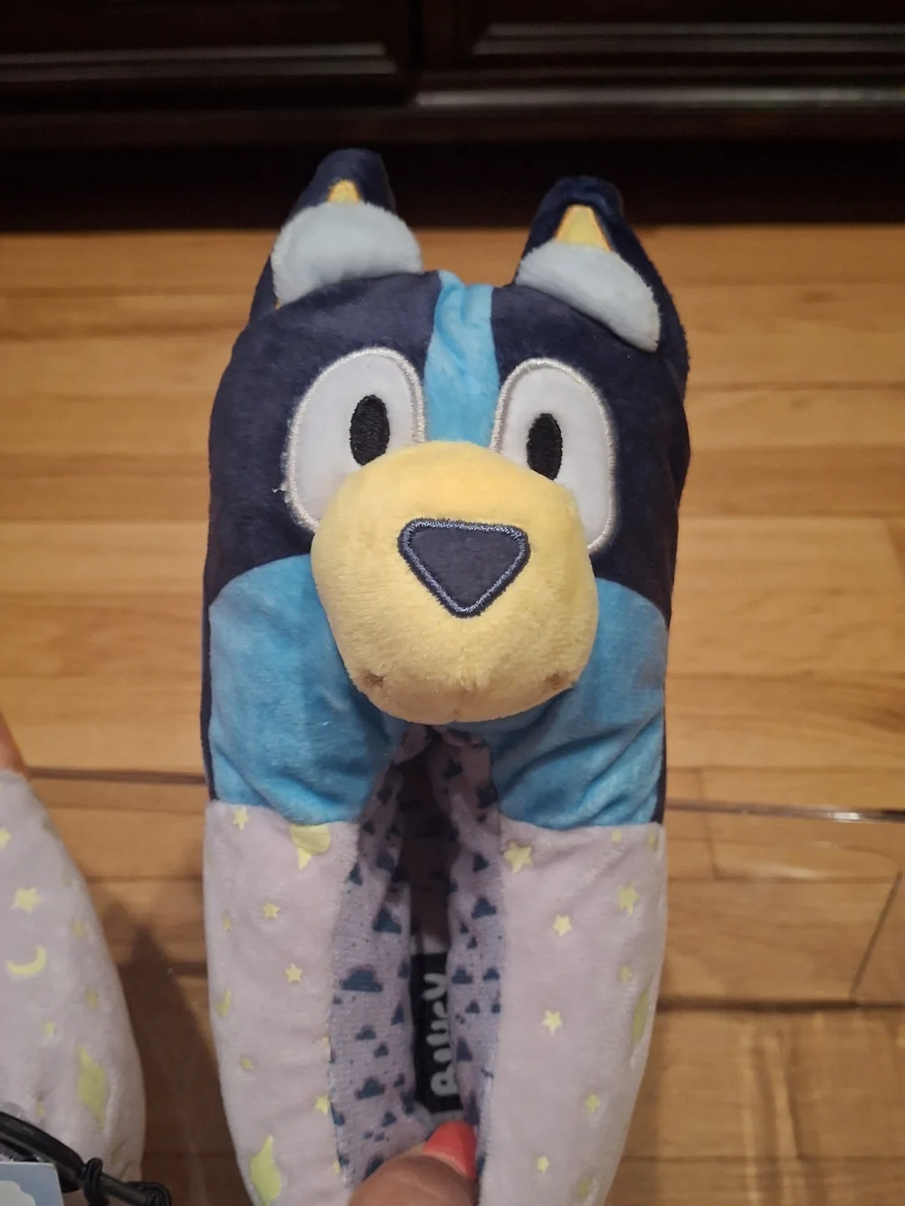 Bluey branded kids